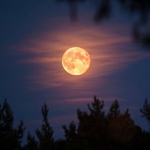 Meet your Posher, Chloe